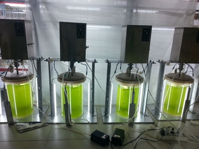 武漢軒明宇環(huán)?？萍?創(chuàng)新驅(qū)動(dòng)，鑄就綠色未來——環(huán)保設(shè)備及裝置的研發(fā)之路